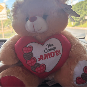 urso de pelúcia      