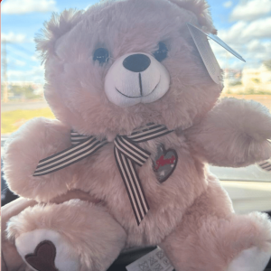 urso de pelúcia      
